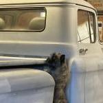 Dark Cairn standing on running board of truck