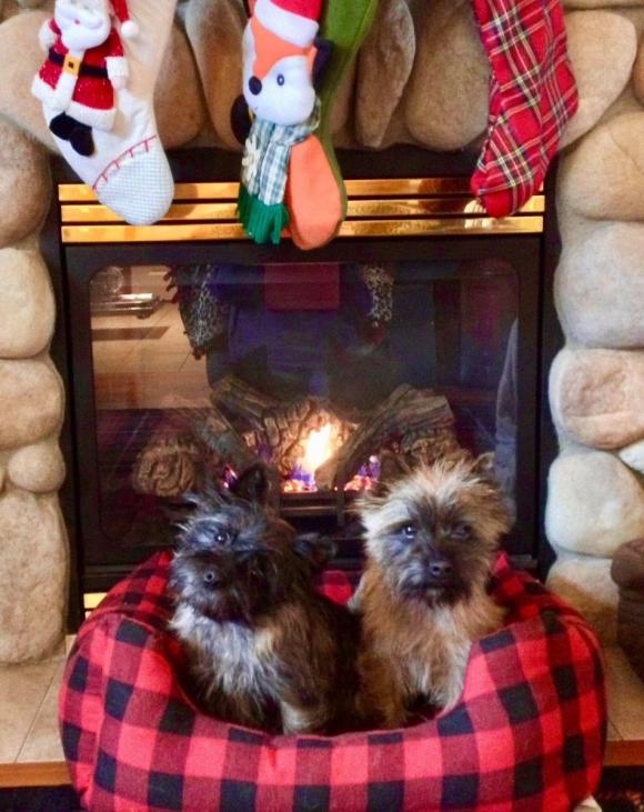 Two Cairns in Front of Fireplace