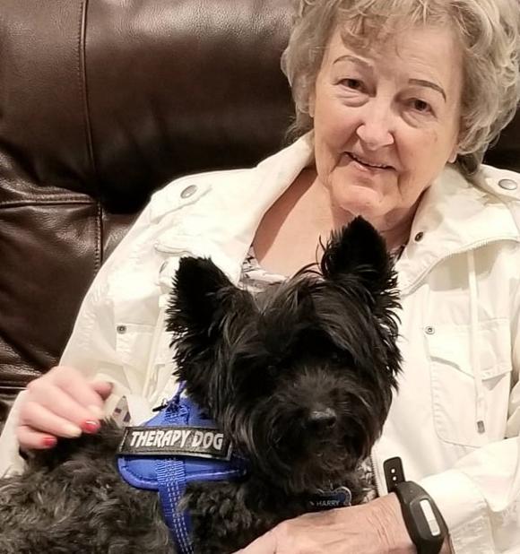 Therapy dog with patient